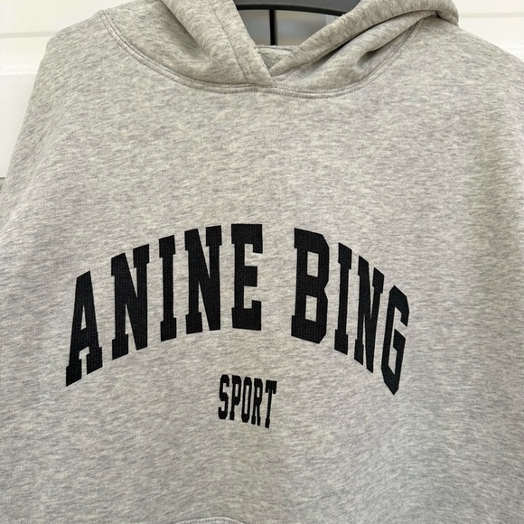 Anine Bing Sport Harvey Hoodie - Picture 7 of 15